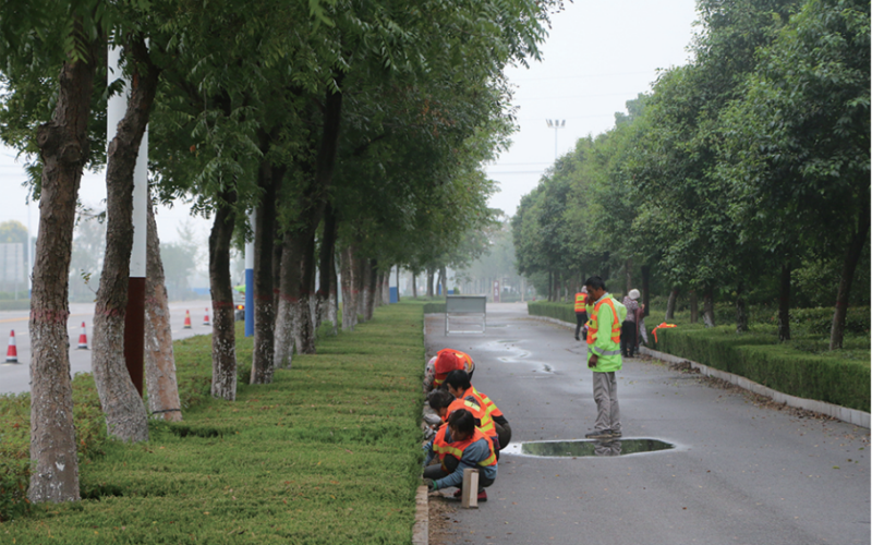 亳州中心城区道路绿化管养